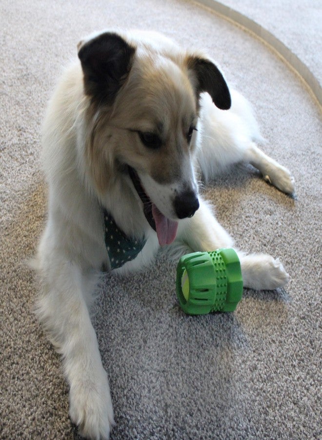 SPOT Barrett Tough Tennis Jumble Dog Toy for Large Dogs - Durable Rubber Barrel & Ball Combo, Virtually Indestructible Puzzle Toy with Textured Surface for Dental Health, 4 in Barrel & 2.5 in Ball - Image 2